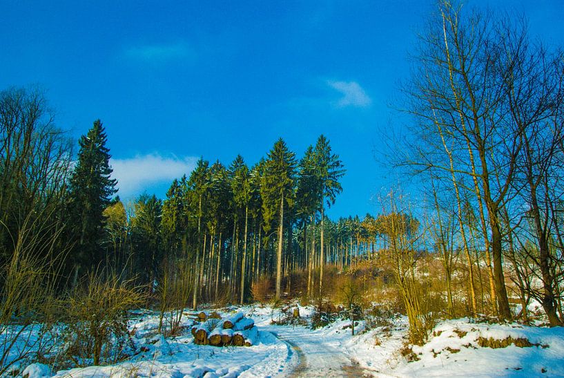 Winter landscape 2 by Norbert Sülzner