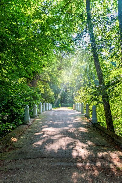Sunlight on the bridge by Jurjen Jan Snikkenburg
