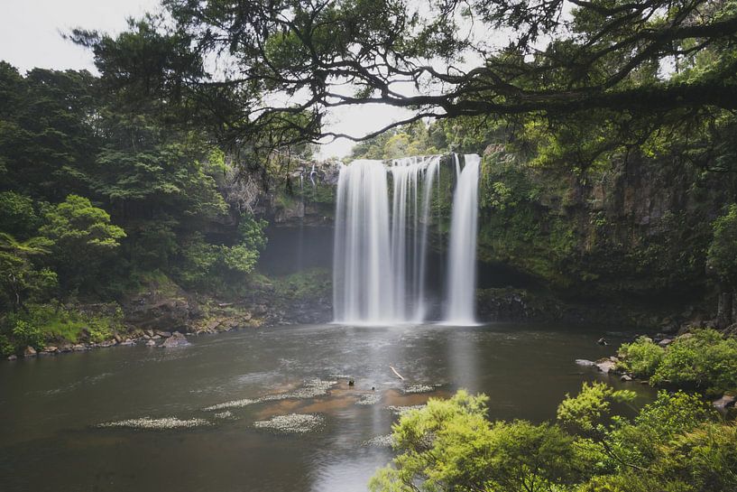 x van Tom in 't Veld