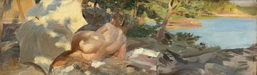 Anders Zorn - Bather with parasol, Dalaröx by Peter Balan