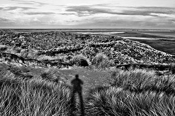Shadow play in the dunes by Norbert Sülzner
