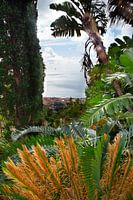 Funchal, viewed from above