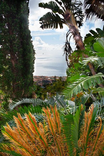Funchal, von oben gesehen von jonathan Le Blanc