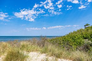 Strand an der Ostseeküste bei Rosenort in der Rostocker Heide