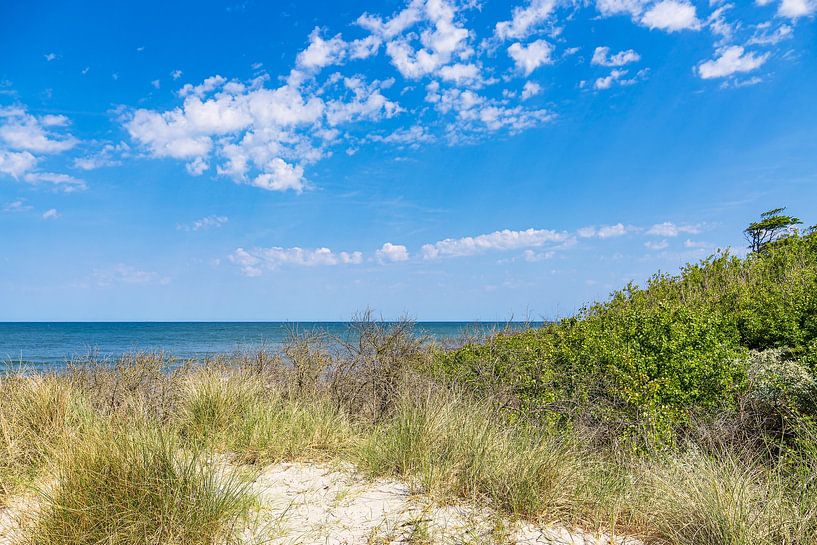 Strand an der Ostseeküste bei Rosenort in der Rostocker Heide von Rico Ködder