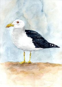 Mouette sur la plage sur Sandra Steinke