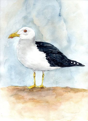 Seagull On The Beach