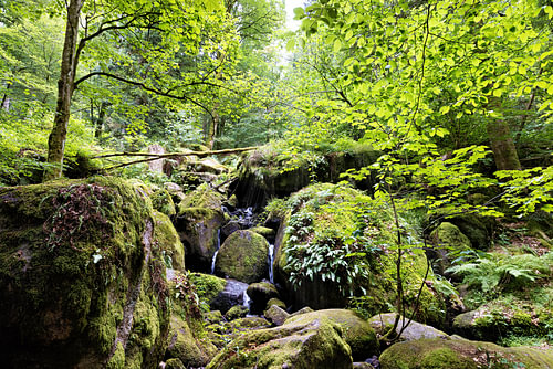 De idyllische Gertelbach-watervallen, omgeven door een groen bos