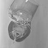 Attrape-moi si tu peux - peinture photoréaliste d'un verre sur Qeimoy