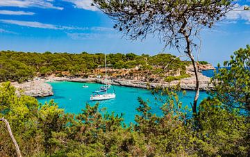 Prachtig eilandlandschap, idyllische baaienkust op Mallorca van Alex Winter
