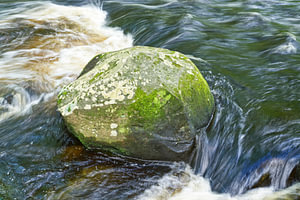 Felsen mit Moos in Stromschnellen Wasser