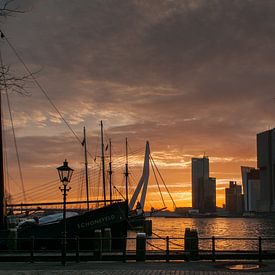 Hafen von Rotterdam in frühe Sonne von Erik van 't Hof