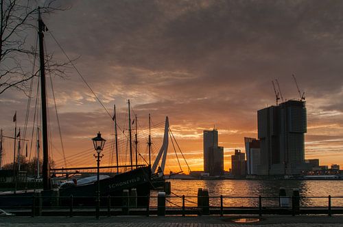 Rotterdam in de ochtendzon