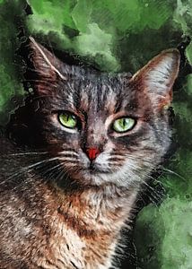 Cat animals art #cat
