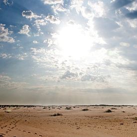 Panorama Horsplaat Texel by Martijn Smit