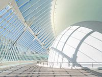 Architectuur van Santiago Calatrava in Valencia