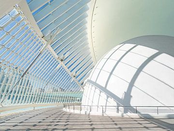Architecture de Santiago Calatrava à Valence sur Stephaniek Putman
