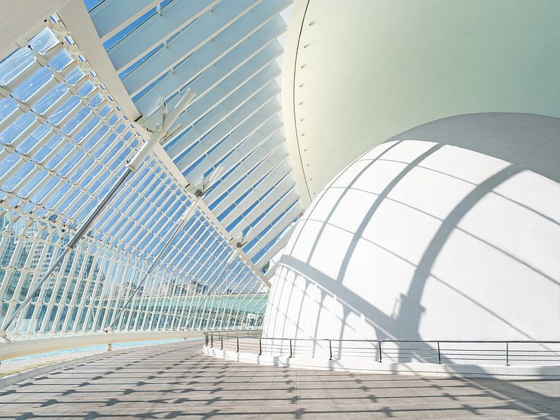 Architecture by Santiago Calatrava in Valencia by Stephaniek Putman