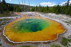 Morning Glory Pool im Yellowstone
