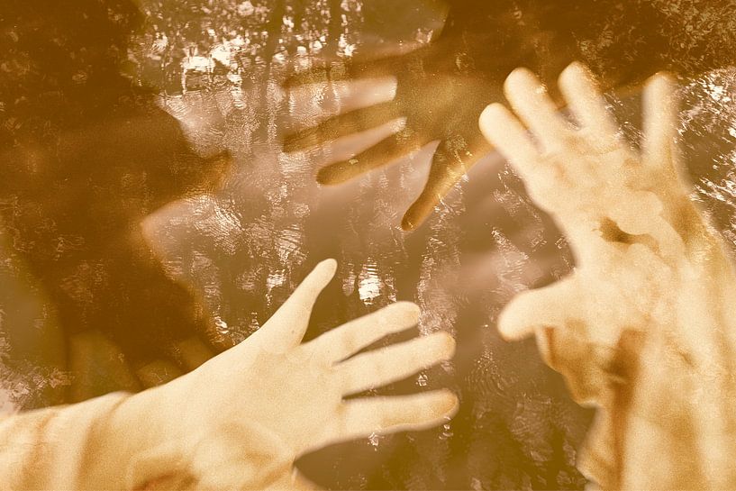 Lost Dreams van True Color Stories