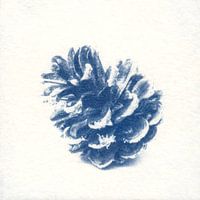 Pine cone