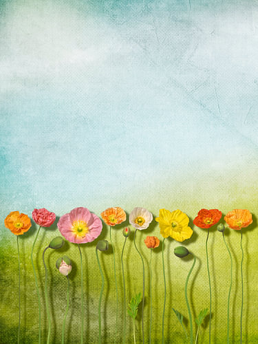 Summer’s Palette