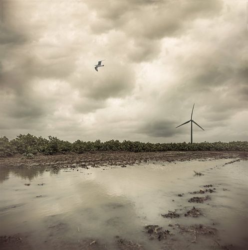 windmolen op het platteland