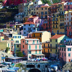 Beautiful colored houses in Manarola, Cinque Terre, Italy by Shania Lam