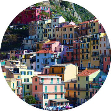 Mooie gekleurde huisjes in Manarola, Cinque Terre, Italië van Shania Lam
