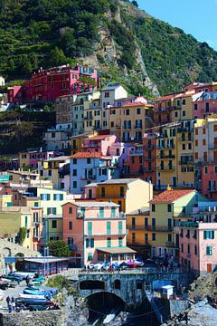 Belles maisons colorées à Manarola, Cinque Terre, Italie sur Shania Lam