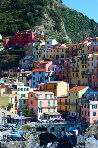 Beautiful colored houses in Manarola, Cinque Terre, Italy