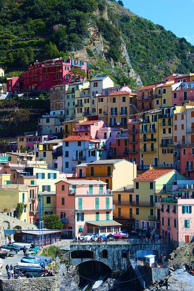 Belles maisons colorées à Manarola, Cinque Terre, Italie par Shania Lam