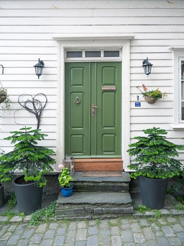 De groene deur met de denneboompjes in Stavanger, Noorwegen - straat en reisfotografie