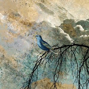 HEAVENLY BIRD IIc-Q von Pia Schneider