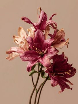 Bouquet of flowers lilies by Esmeé Kiewiet