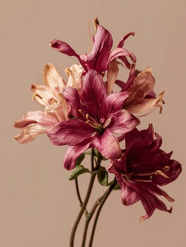 Bouquet of flowers lilies