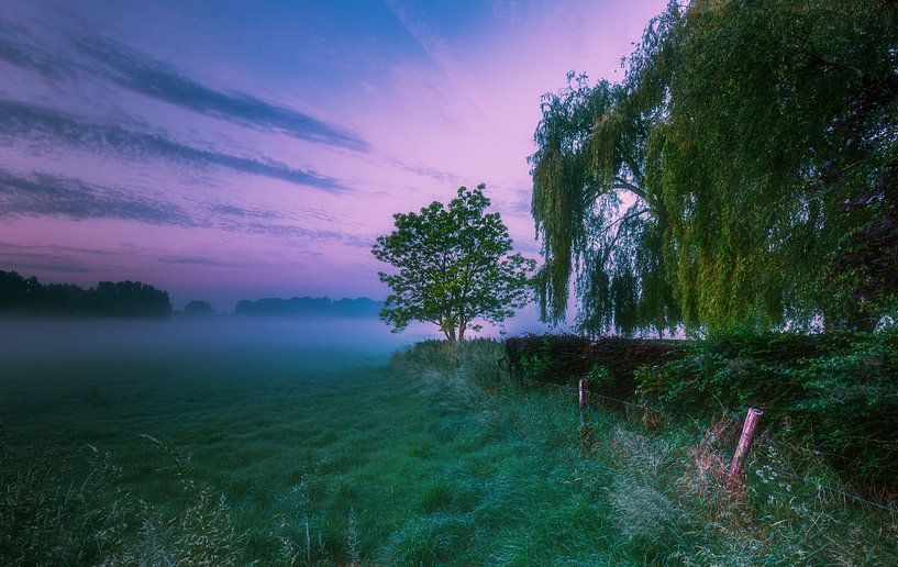 Beautiful morning by Wim van D