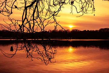 Winter zonsondergang aan het meer van Dieter Walther