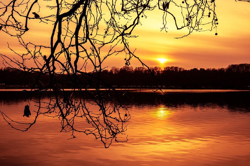Winter sunset at the lake by Dieter Walther