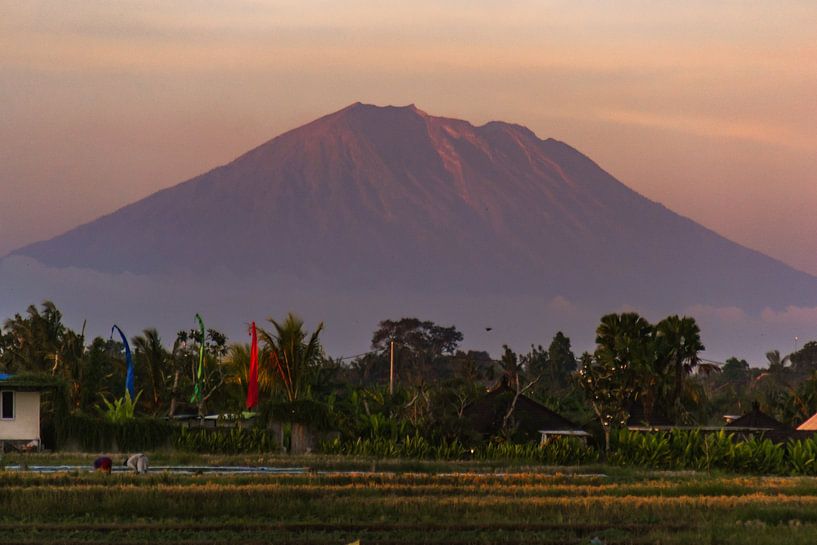 Bali by Hello Pompoyo