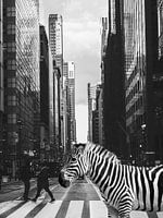 Zebra in NYC - Surrealistische foto collage van wilde dieren - Geïnspireerd door Inge Morath