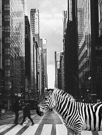 Zebra in NYC - Surrealistische foto collage van wilde dieren - Geïnspireerd door Inge Morath van Dagmar Pels