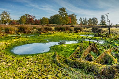 Een landschap van een bijna droge veenplas