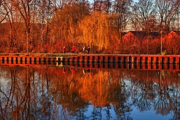 Mise en miroir des chaînes