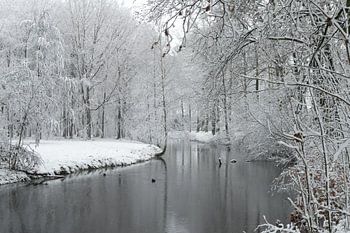Winters landschap