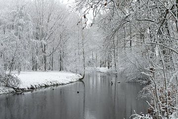 Winters landschap
