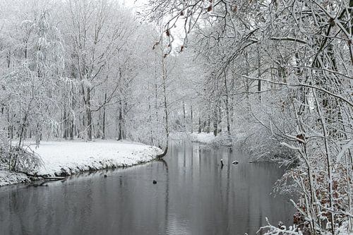 Winters landschap