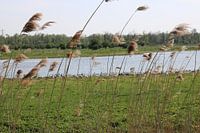 Ansicht Wasser