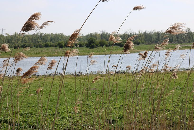 Ansicht Wasser von Rosalie Broerze