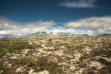 Rondane national park 1 van Marc Hollenberg